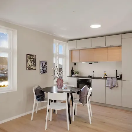 Panorama - View In L * Μπέργκεν